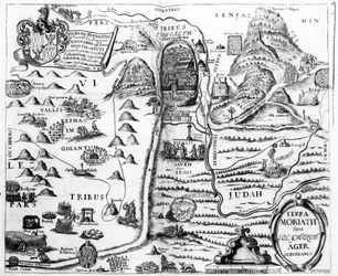 Carte d